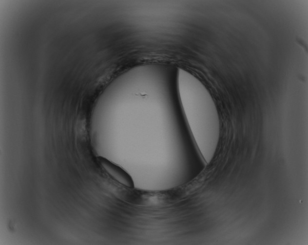 X0000096660564200802050959