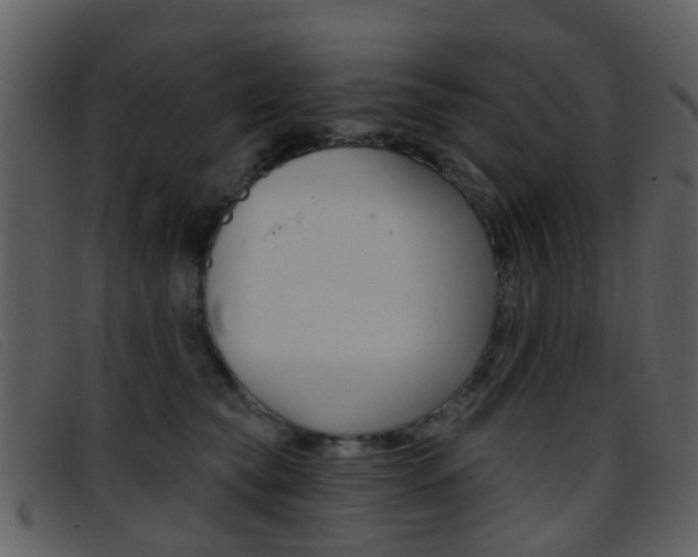 X0000096660565200802050959