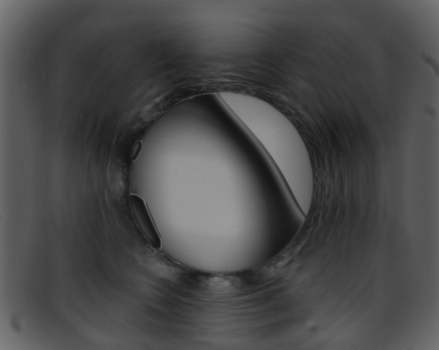 X0000096660566200802050959