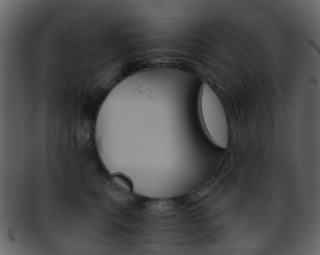 X0000096660567200802050959