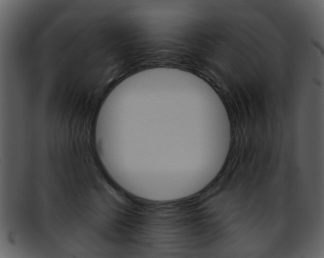 X0000096660568200802050959