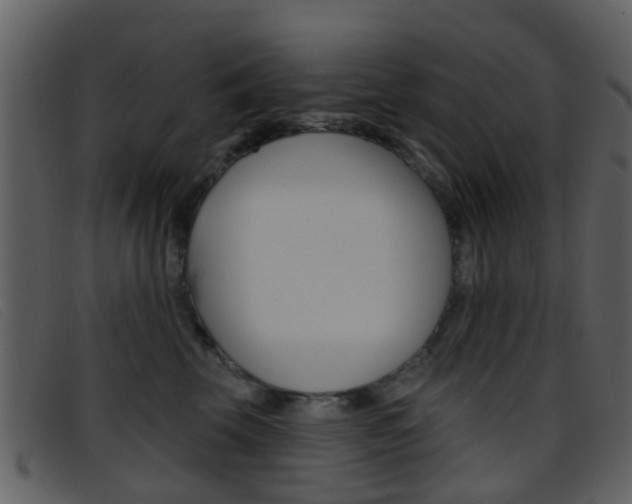 X0000096660569200802050959