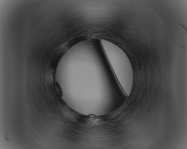 X0000096660570200802050959