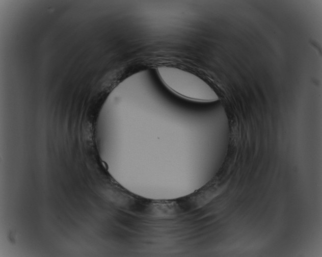 X0000096660571200802050959