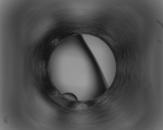 X0000096660572200802050959