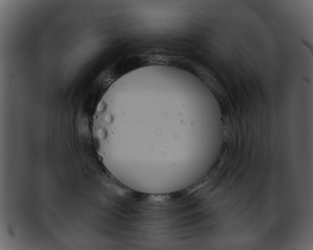 X0000096660573200802050959