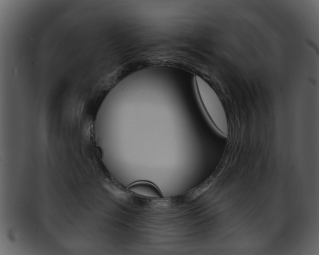 X0000096660574200802050959