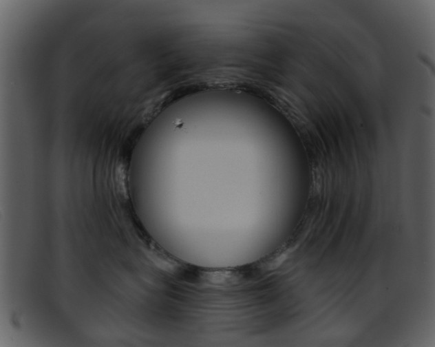 X0000096660575200802050959
