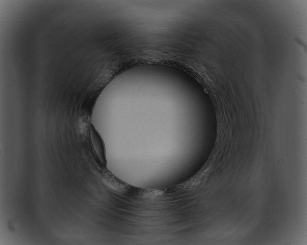 X0000096660576200802050959