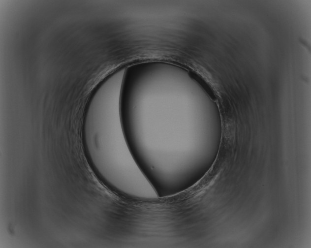 X0000096660577200802050959