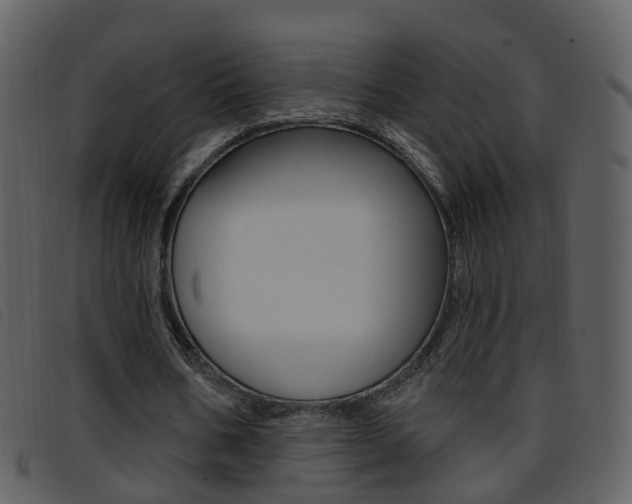 X0000096660578200802050959