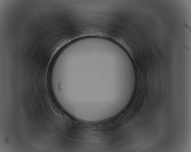 X0000096660579200802050959