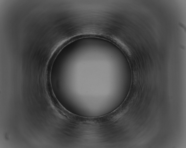 X0000096660580200802050959
