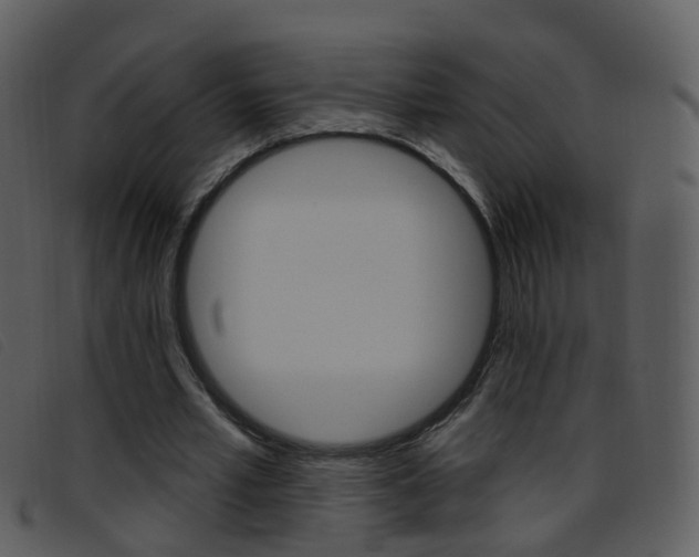 X0000096660581200802050958