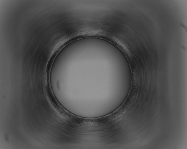 X0000096660582200802050958
