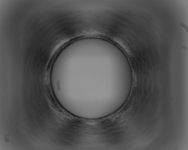 X0000096660583200802050958