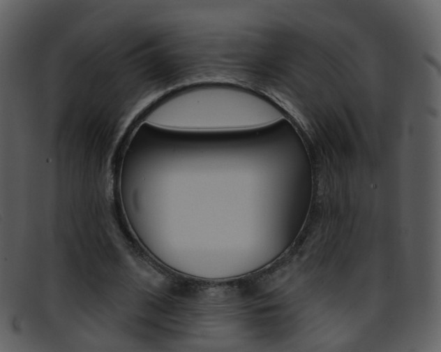 X0000096660584200802050958