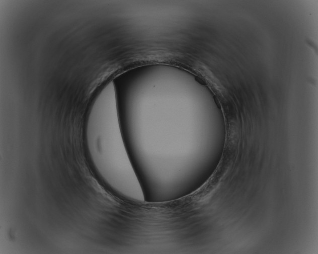 X0000096660585200802050958