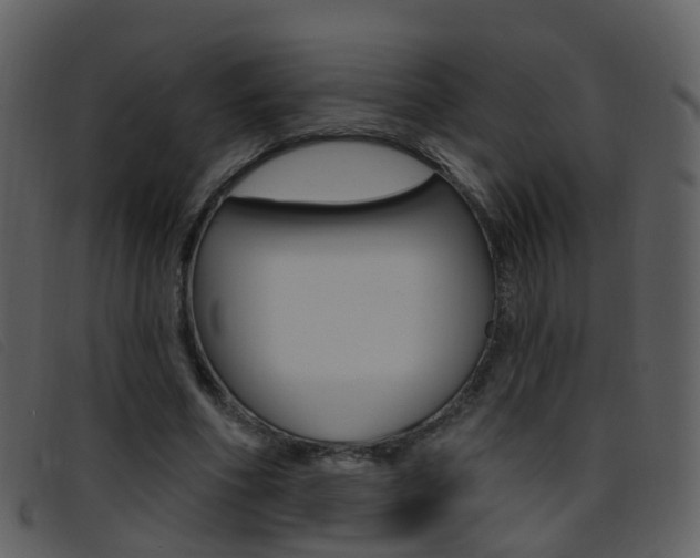 X0000096660586200802050958