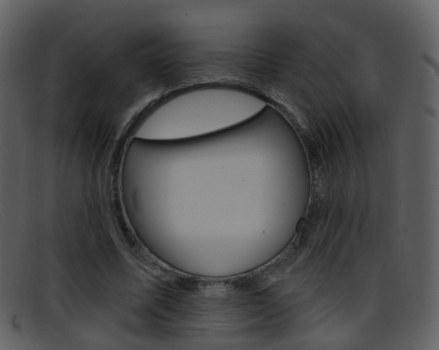 X0000096660587200802050958