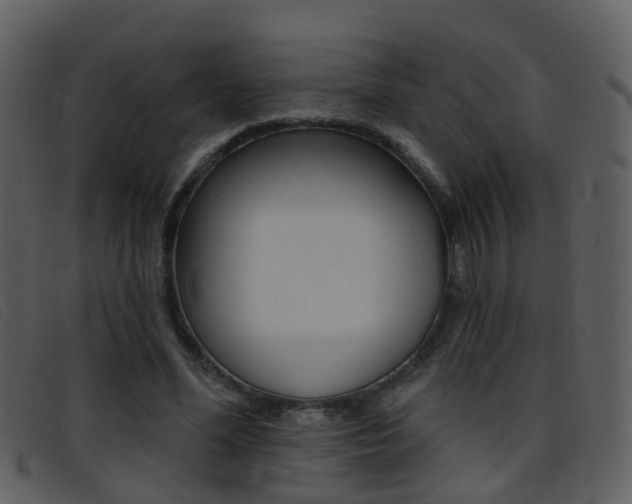 X0000096660588200802050958
