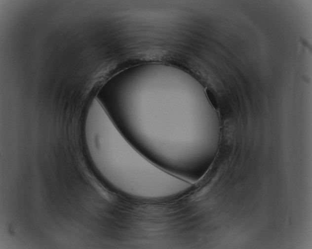 X0000096660589200802050958