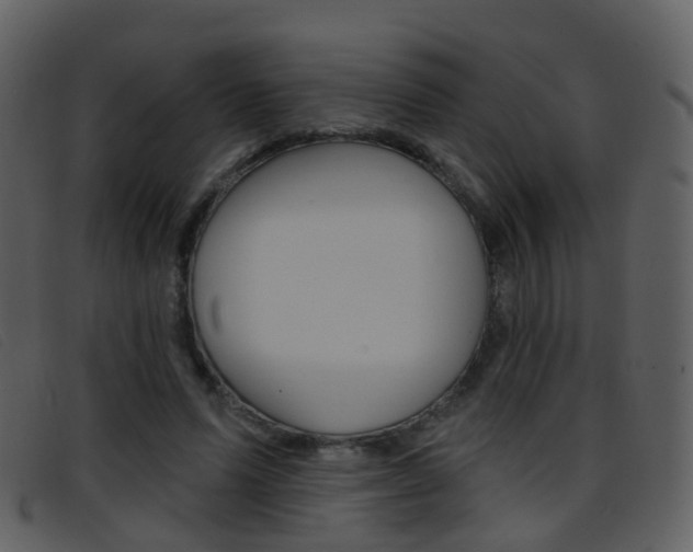 X0000096660591200802050958