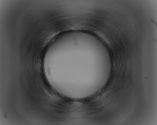 X0000096660592200802050958