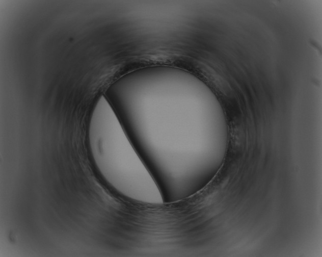 X0000096660593200802050958