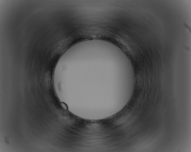 X0000096660594200802050958