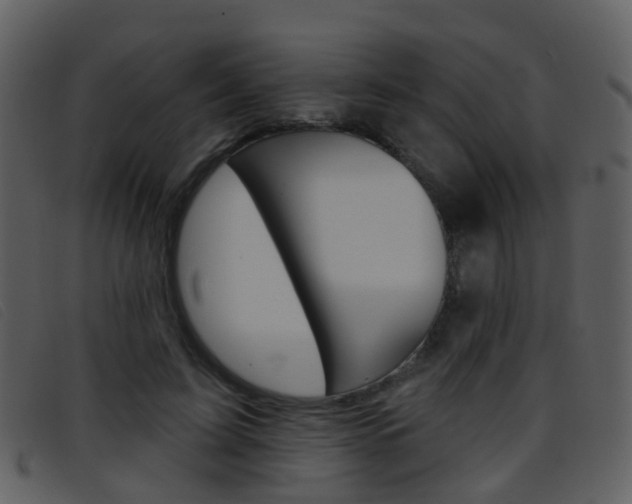 X0000096660595200802050958