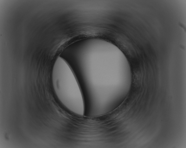 X0000096660596200802050958