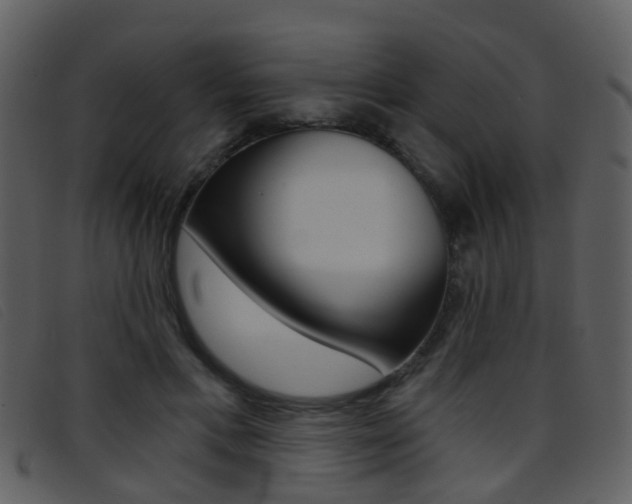 X0000096660597200802050958