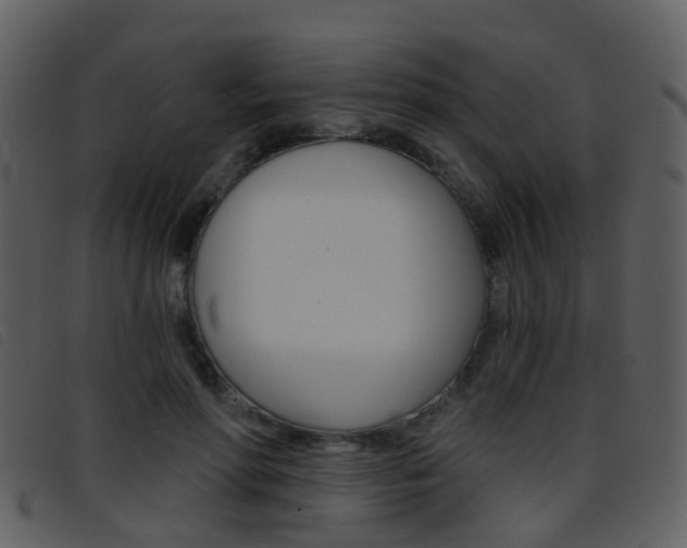 X0000096660598200802050958