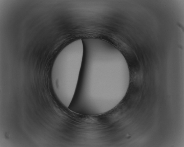 X0000096660599200802050958