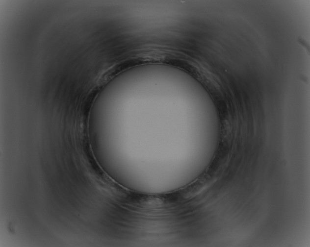 X0000096660600200802050958