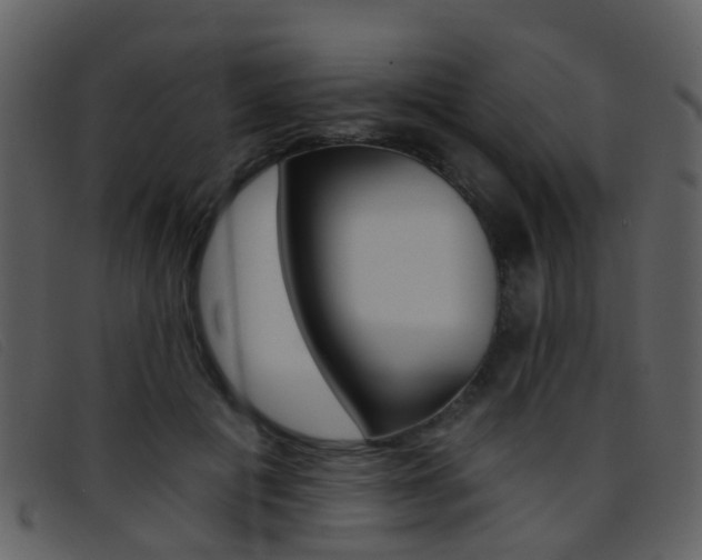 X0000096660601200802050958