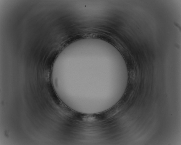 X0000096660602200802050958