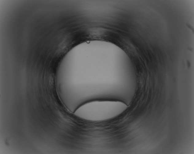 X0000096660603200802050958