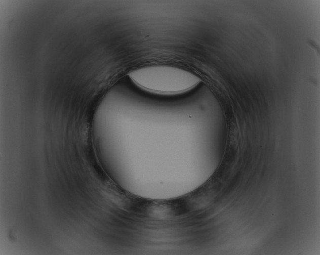 X0000096660604200802050958