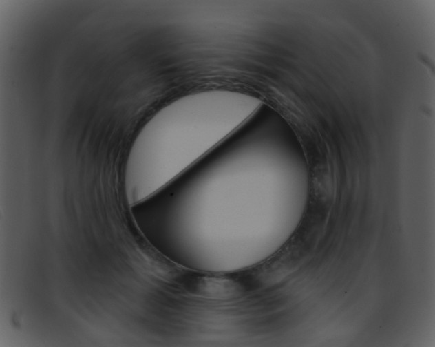 X0000096660605200802050958