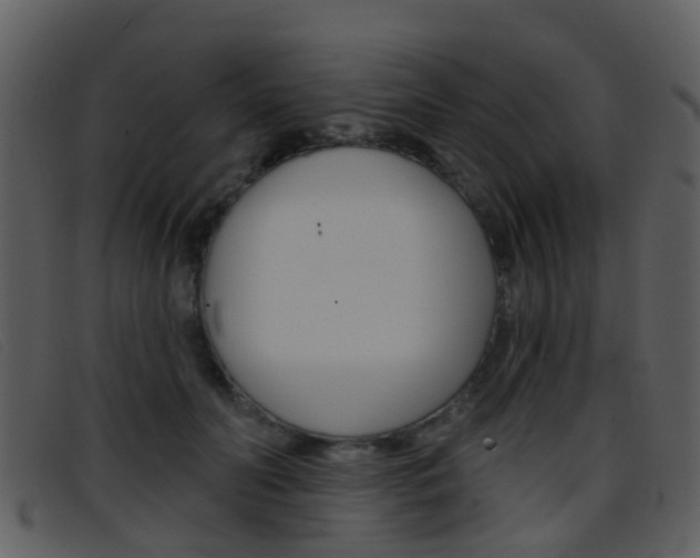 X0000096660606200802050958