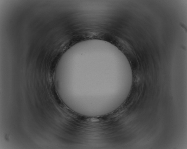 X0000096660607200802050958
