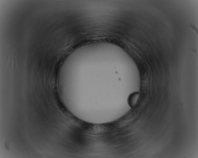 X0000096660608200802050958