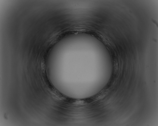 X0000096660609200802050958