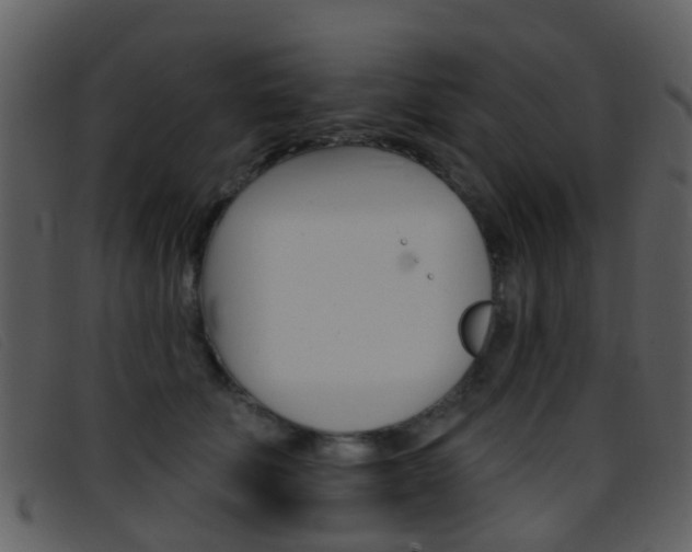 X0000096660610200802050958
