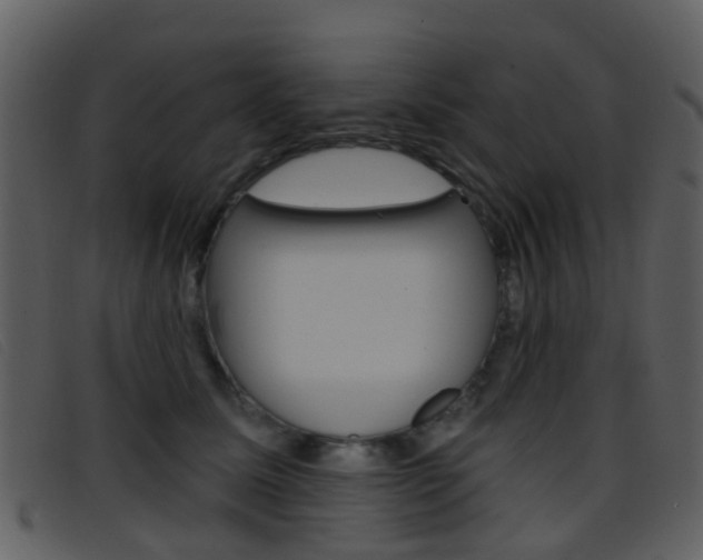 X0000096660611200802050958