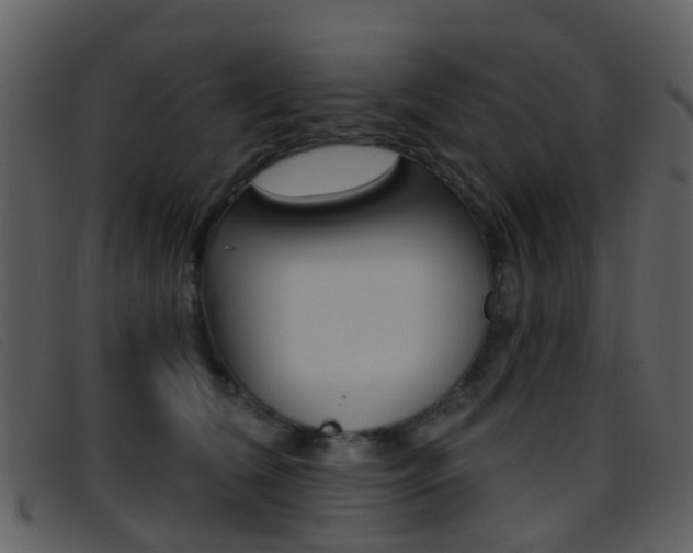 X0000096660612200802050958