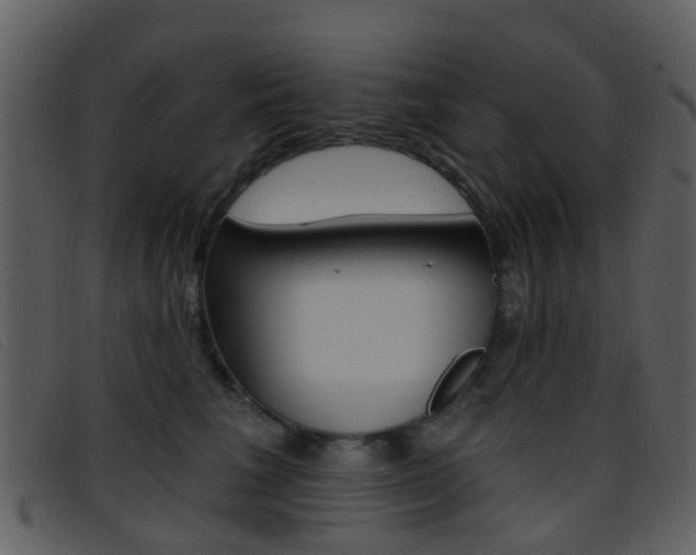 X0000096660613200802050958