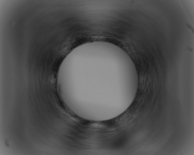 X0000096660614200802050958